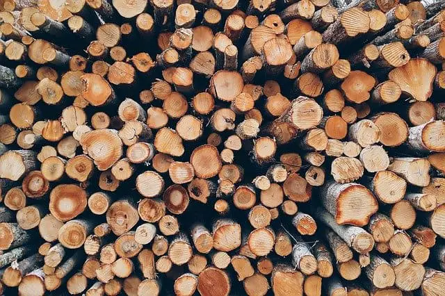 wood timber cut
